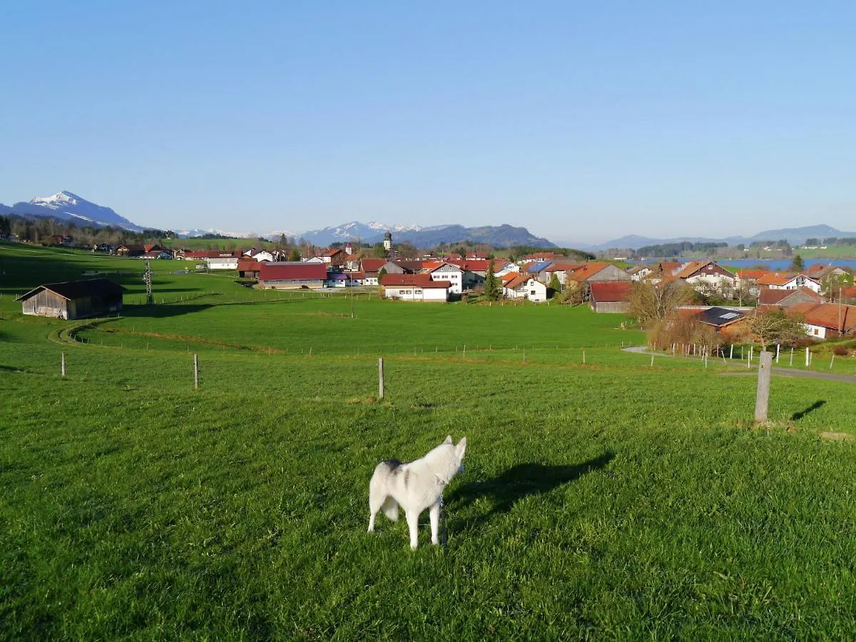 Cosy Apartment In Allg U With Garden Oy-Mittelberg